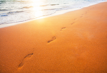 beach, wave and footprints at sunset time