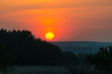 Sunset over the forest