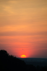 Obraz premium Sunset over the forest