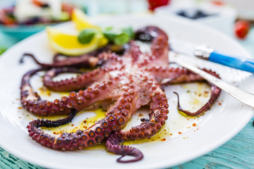 Grilled octopus on white plate. Greek dish. 