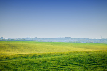 Green Field and Beautiful Sunset