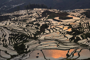 Colourful rice terraces in Yuanyang UNESCO site in China