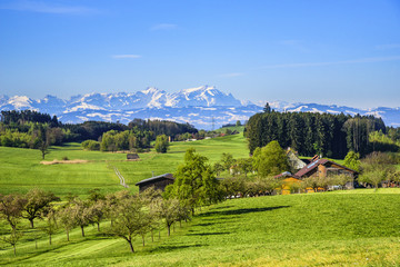 Obraz premium idyllische Frühlingslandschaft bei Lindau
