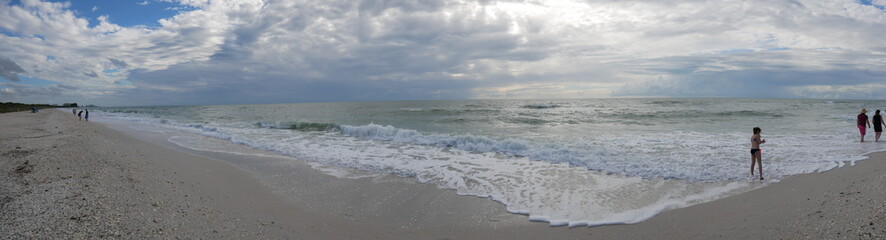 Panoramic view of the Barefoot Beach State Preserve in Florida, a land tortoise sanctuary.