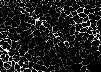 Obraz premium Earth cracks or neurons on black background. Texture design in grunge style.