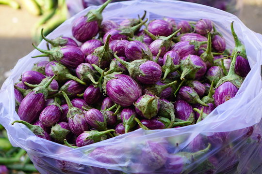 Brinjal