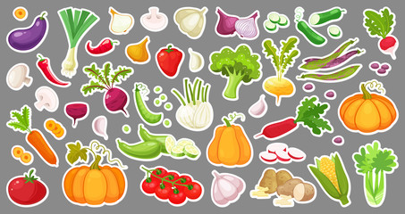Big set of colorful vegetables. Isolated stickers of vegetables. Natural fresh organic vegetables.Cartoon style vector illustration.