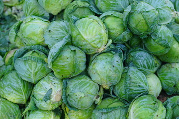 Fototapeta na wymiar Fresh Cabbage
