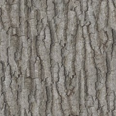Deep Rough Bark Pattern Texture