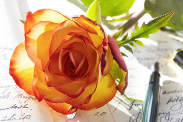 Rose Rosen alte Schrift