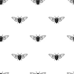 Vector retro hand drawn seamless vector pattern with beetle, bug, dor, dorr, insect on a white background. Vintage illustration