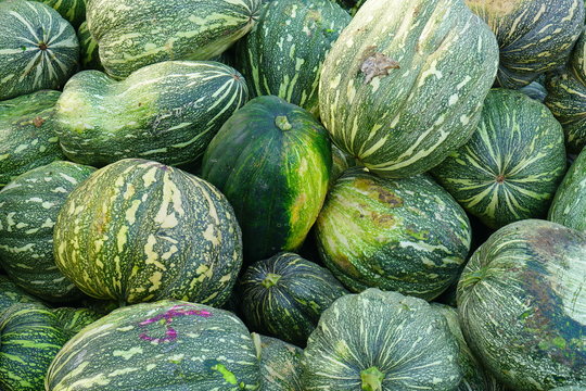 Pumpkin