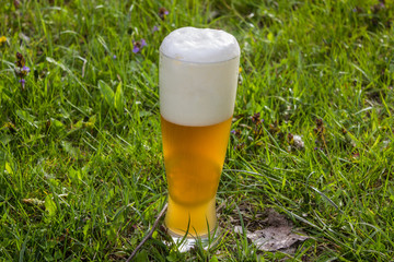 Bier, Weizenbier,helles Hefeweizen,Hefe, Sommer, Durst, kaltes Getränk, Alkohol,