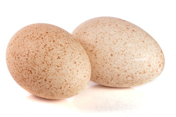 Fototapeta na wymiar two turkey eggs isolated on white background close-up