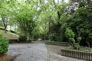 多摩の散歩道