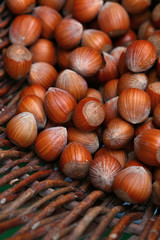 Whole big filbert hazelnuts in wicker basket