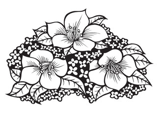 drawing flowers illustration.