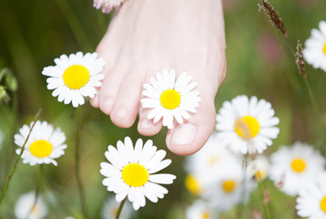 Foot with daisies - 152299260