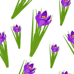 Fototapeta na wymiar Beautiful spring seamless pattern with crocuses. Purple flowers different sizes of saffron on a white background. Vector illustration.