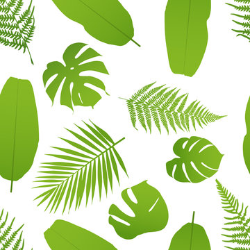 Tropicla seamless pattern with palm and fern. Vector illustration