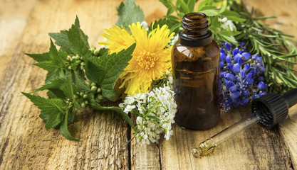 Medicinal plants oil bottle, alternative medicine