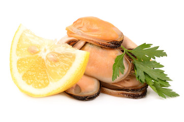 mussels on a white background