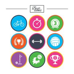Sport games, fitness icon. Bike, basketball.