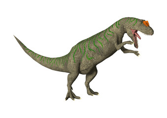 3D Rendering Dinosaur Allosaurus on White