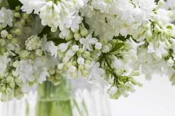 White lilac bouquet.Spring blossoms perfumed lilac flowers, selective focus