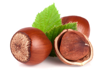 Hazelnuts with leaves isolated on white background