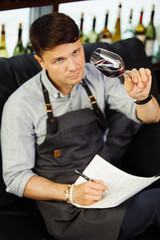 Male sommelier tasting red wine and making notes. Profession in winemaking.