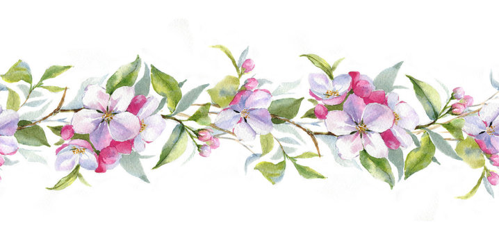Hand drawn watercolor borders with the apple branch. Watercolor apple blooming branch. Floral frame template