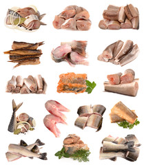 collection of sliced fish