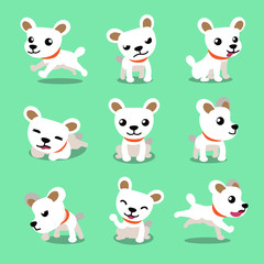 Cartoon character cute white dog poses