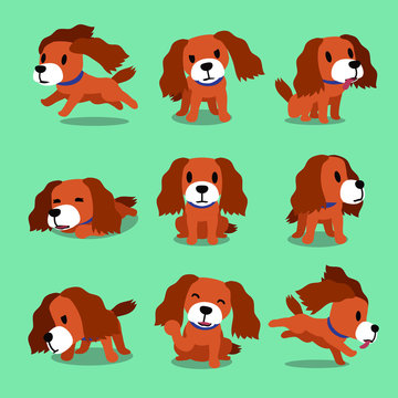 Set of vector cartoon character dog poses