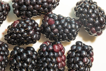 blackberry background