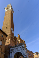 Obraz premium Piazza del Campo in Siena