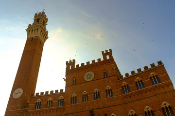 Obraz premium Piazza del Campo in Siena
