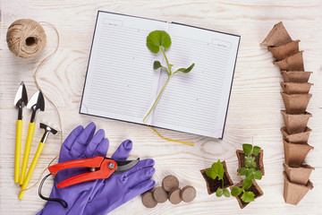 Gardening tools and seedlings.