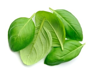 Fresh basil leaves.