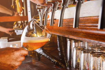 Bartender hand pouring draught beer to glass from a pub tap
