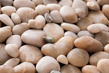 Fototapeta premium Sea pebbles background, natural seashore stones