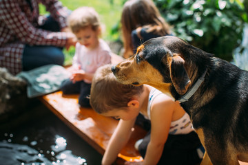 Dog and kids playing in backyard