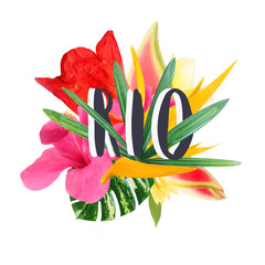 Floral collage " Rio" isolated on white background