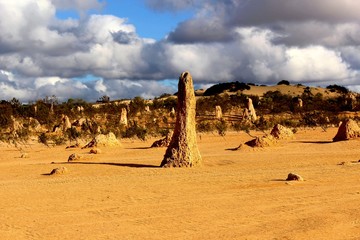 Désert des pinnacles, Australie Occidentale