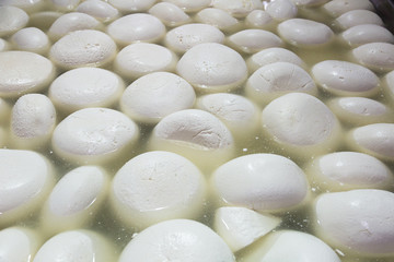 Making homemade mozzarella cheese,  cheese ripens in brine