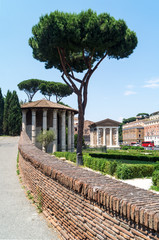 Temple of Vesta, forum boarium,Rome, Italy