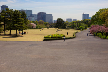 Токио. В парке императорского дворца. © galina_savina