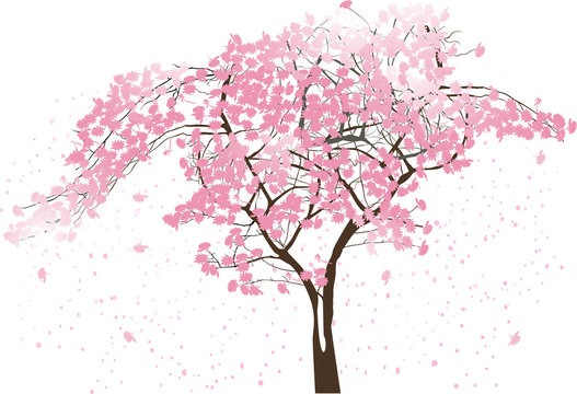 spring abstract tree with large pink blooms on white