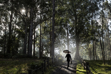 Obraz premium Looking for quiet place